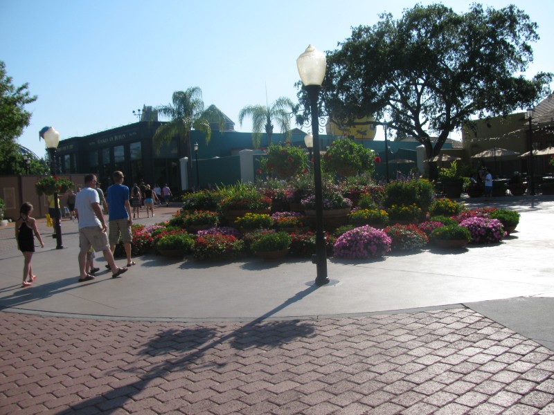 Animal Kingdom 158.jpg